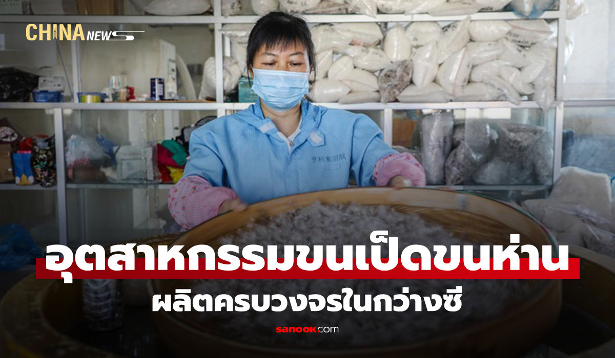 อุตสาหกรรม "ขนเป็ดขนห่าน" ผลิตครบวงจรในกว่างซี