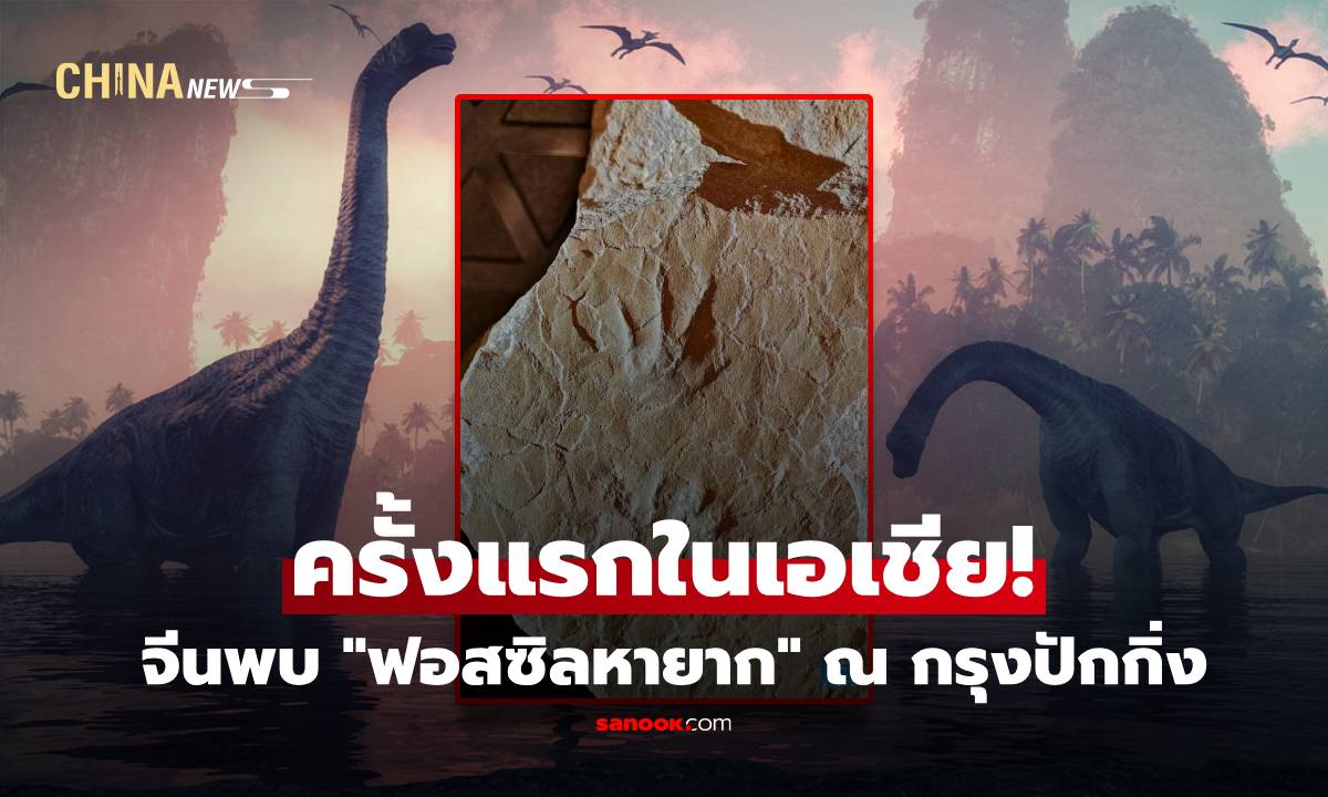 ครั้งแรกในเอเชีย! จีนพบ "ฟอสซิลหายาก" ยุคจูราสสิก ณ กรุงปักกิ่ง