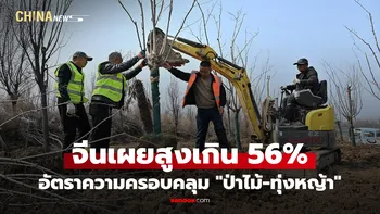 จีนเผยอัตราความครอบคลุม "ป่าไม้-ทุ่งหญ้า" สูงเกิน 56%