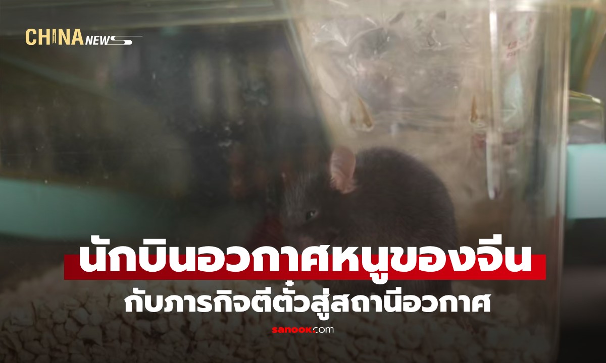 เปิดภารกิจ “นักบินอวกาศหนู” ของจีน กับภารกิจตีตั๋วสู่สถานีอวกาศ