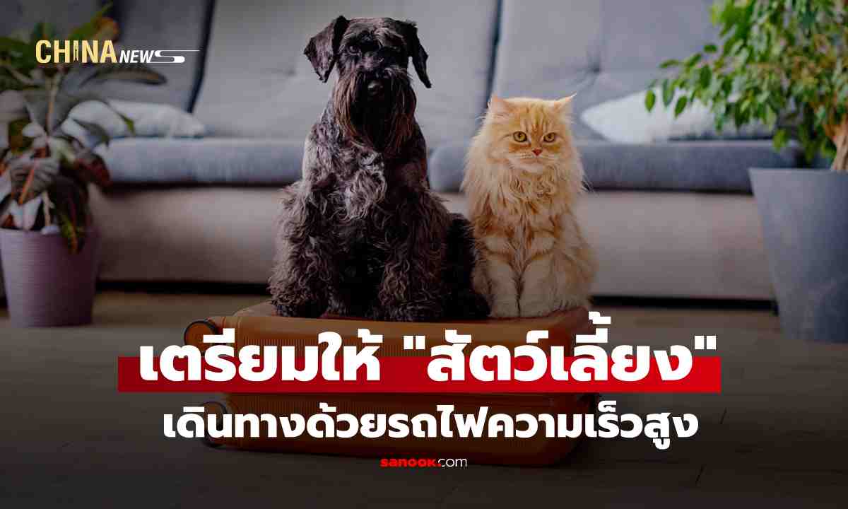 ฉงชิ่ง ผุดบริการใหม่ เอาใจคนรักสัตว์ พา ‘สัตว์เลี้ยง’ เช็กอินนั่งรถไฟความเร็วสูง