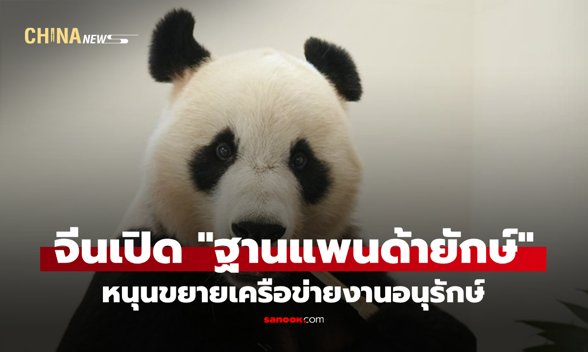 จีนเปิด "ฐานแพนด้ายักษ์" แห่งใหม่ในเสฉวน หนุนขยายเครือข่ายงานอนุรักษ์