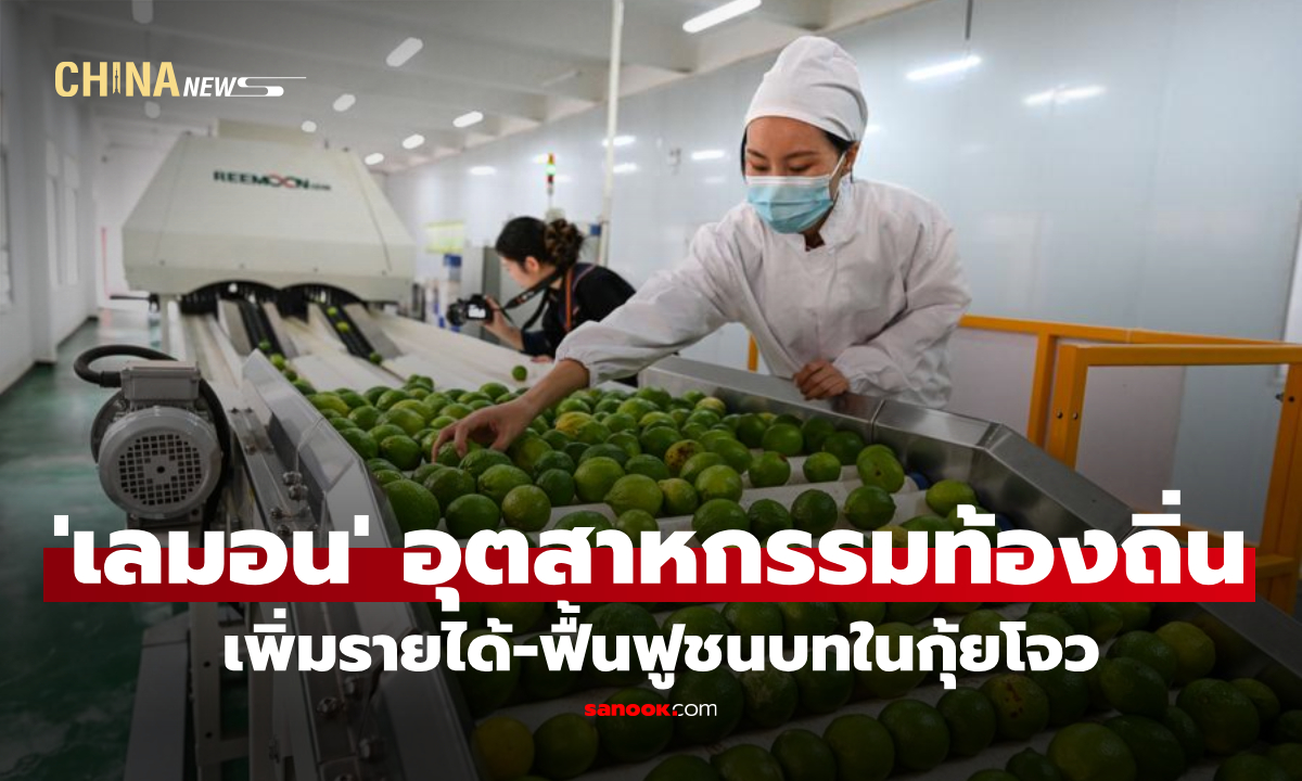 อุตสาหกรรม ‘เลมอน’ เพิ่มรายได้-ฟื้นฟูชนบทในกุ้ยโจว
