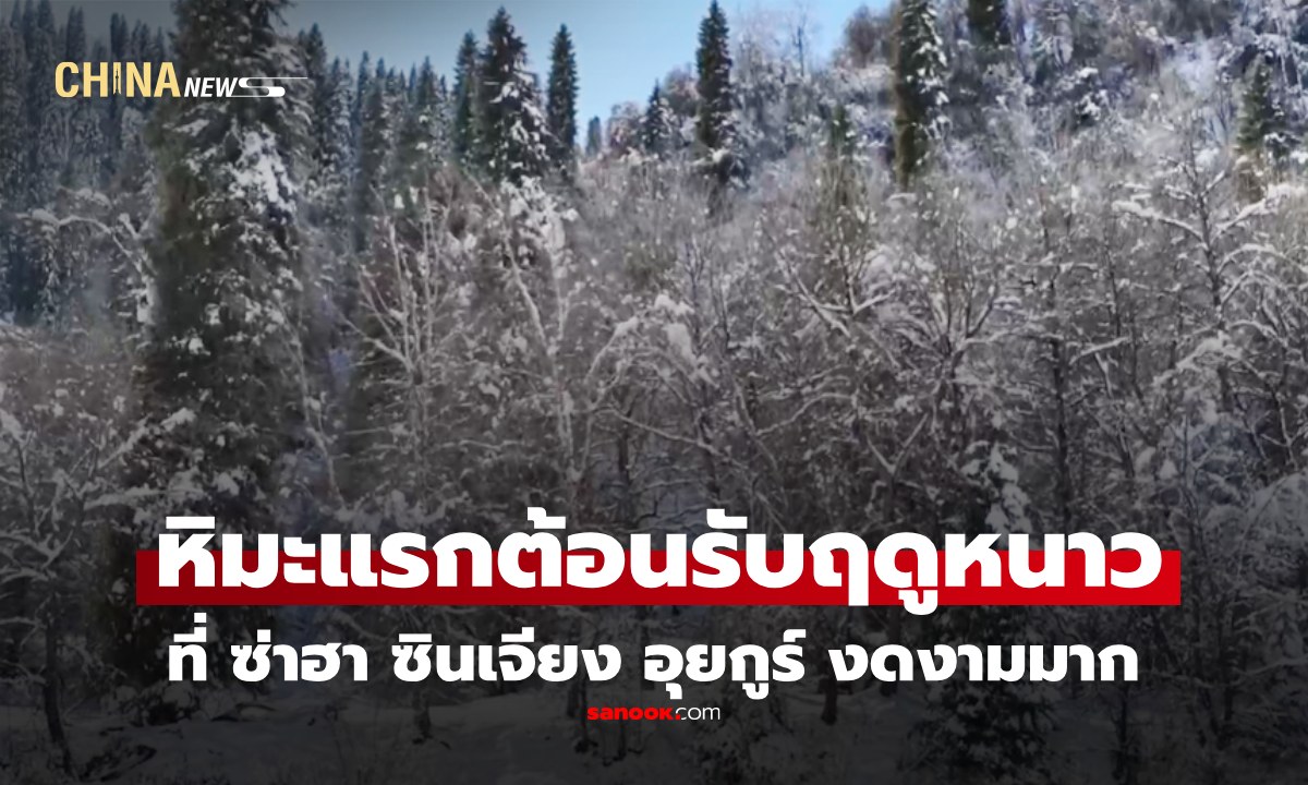ทิวทัศน์หิมะแรกต้อนรับฤดูหนาว ที่ "ซ่าฮา" ซินเจียง อุยกูร์ งามดุจภาพวาด