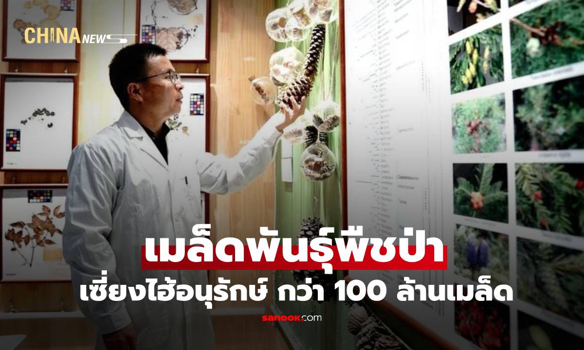 เซี่ยงไฮ้อนุรักษ์ ‘เมล็ดพันธุ์พืชป่า’ หลากชนิดกว่า 100 ล้านเมล็ด