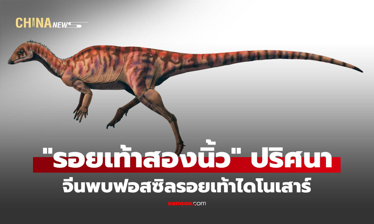 จีนพบฟอสซิลรอยเท้าไดโนเสาร์ พร้อม "รอยเท้าสองนิ้ว" ปริศนา