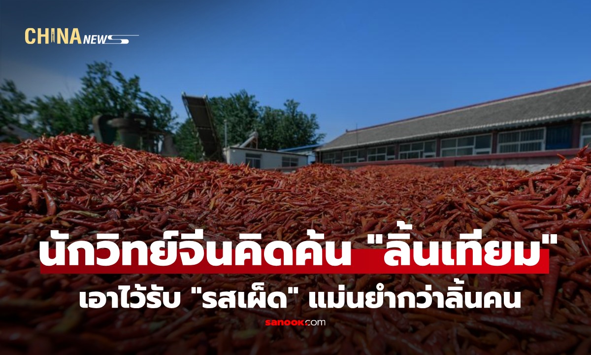 เผ็ดแค่ไหนรู้หมด! นักวิทย์จีนพัฒนา "ลิ้นเทียม" ช่วยวัดระดับความเผ็ดแม่นยำแทนลิ้นคน