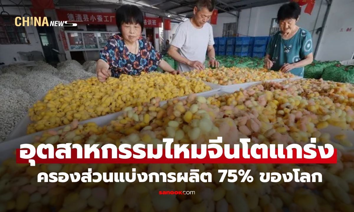 อุตสาหกรรมไหมจีนโตต่อเนื่อง ครองส่วนแบ่งการผลิต 75% ของโลก