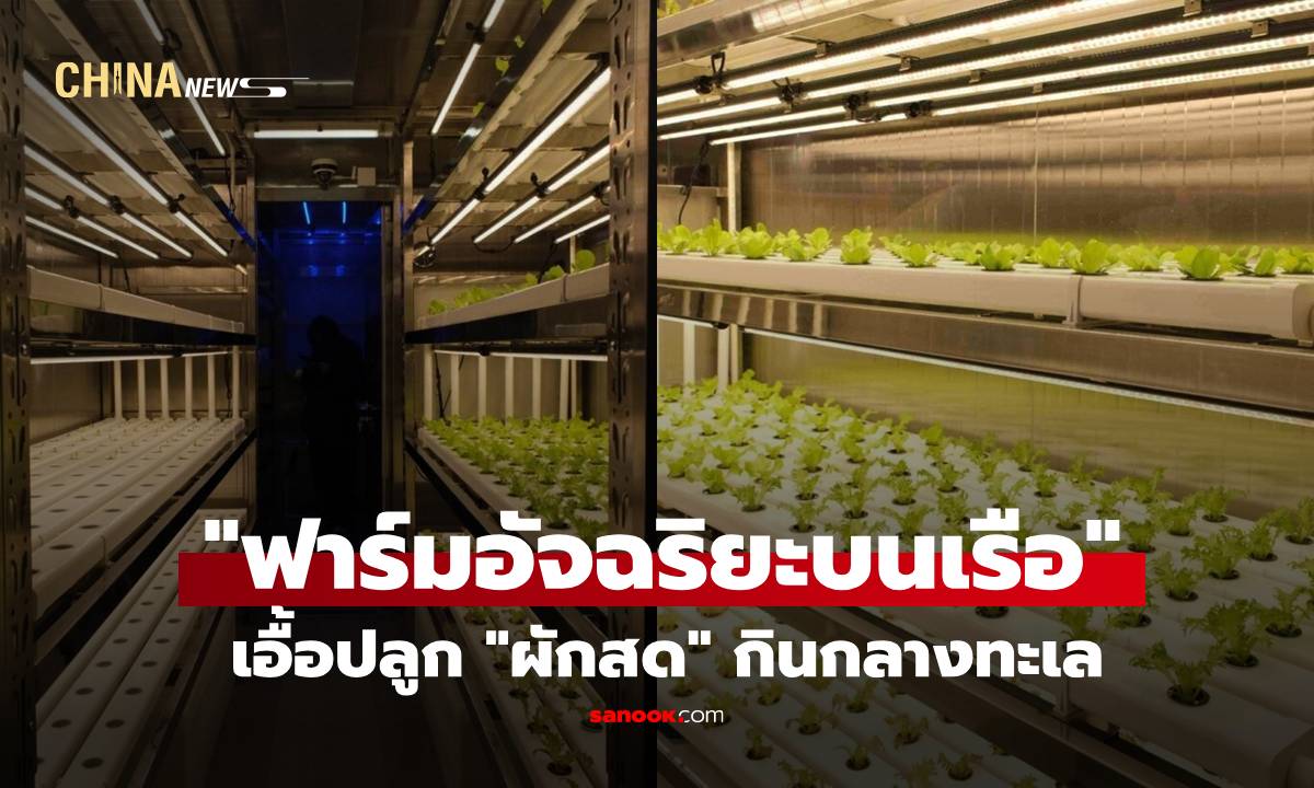 จีนเปิดตัว "ฟาร์มอัจฉริยะบนเรือ" เอื้อปลูก "ผักสด" กินกลางทะเล