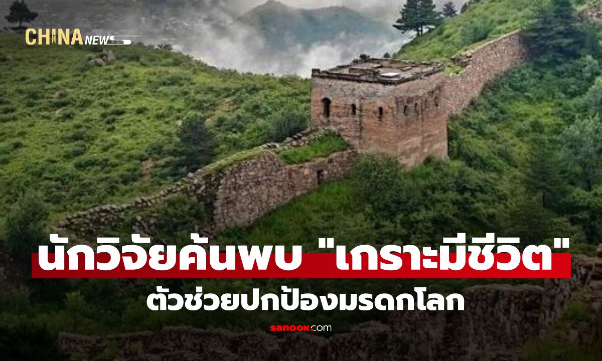 นักวิจัยค้นพบ "เกราะมีชีวิต" บนกำแพงเมืองจีน ตัวช่วยปกป้องมรดกโลก