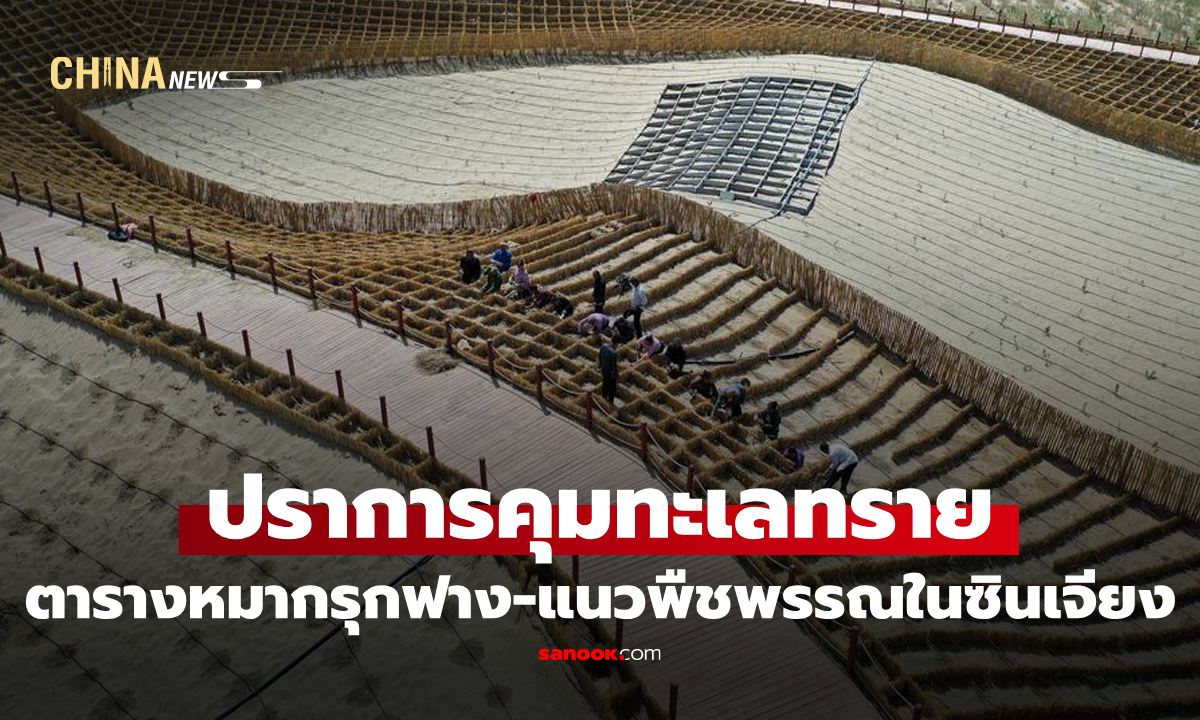 ส่องภาพ "ตารางหมากรุกฟาง-แนวพืชพรรณ" ปราการคุมทะเลทรายในซินเจียง