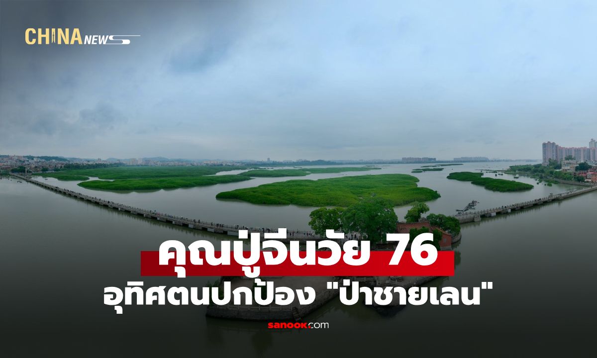หัวใจน่ากราบ! คุณปู่จีนวัย 76 อุทิศตนปกป้อง "ป่าชายเลน" ฝูเจี้ยน นานกว่า 20 ปี