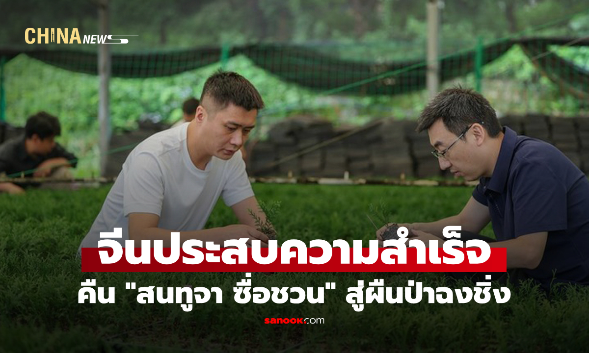 จีนประสบความสำเร็จ คืน "สนทูจา ซื่อชวน" สู่ผืนป่าฉงชิ่ง