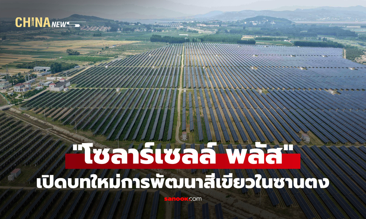 ซานตงชู "โซลาร์เซลล์ พลัส" เปิดบทใหม่การพัฒนาสีเขียว