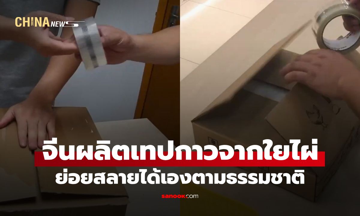 มิติใหม่แพ็กพัสดุ! จีนเปิดตัว "เทปกาวใยไผ่" ย่อยสลายเองได้ 100% ไม่สร้างมลพิษ