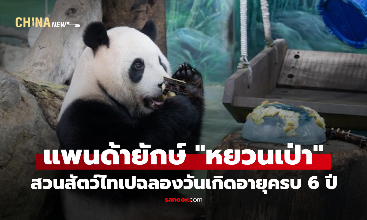 สวนสัตว์ไทเปฉลองวันเกิดแพนด้ายักษ์ "หยวนเป่า" อายุครบ 6 ปี