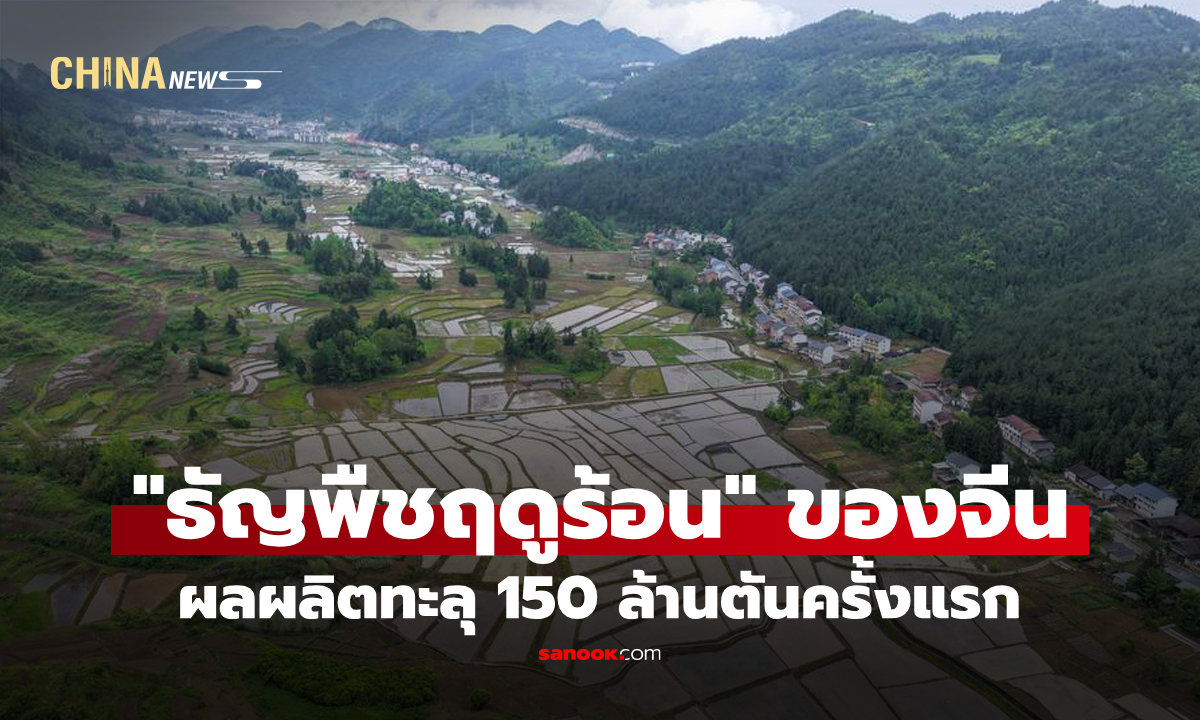 ผลผลิต "ธัญพืชฤดูร้อน" ของจีน ทะลุ 150 ล้านตันครั้งแรก