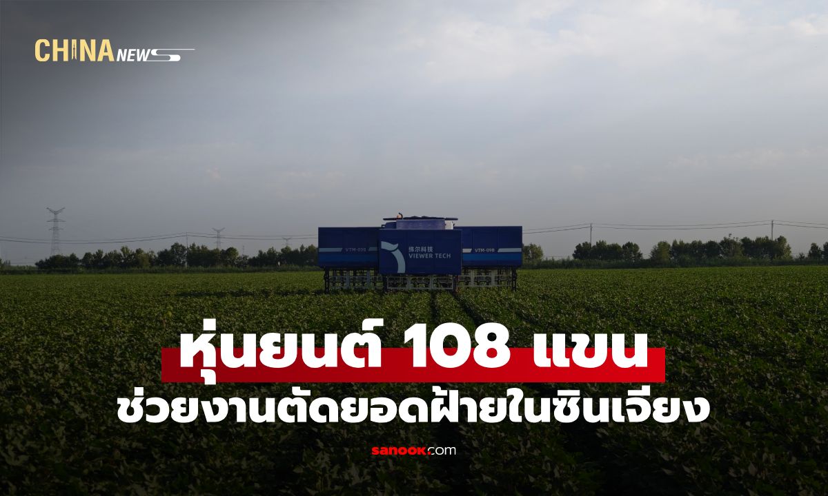 โคตรล้ำ! จีนเปิดตัว "หุ่นยนต์ 108 แขน" ตัดยอดฝ้ายสุดไว ทำงานเท่ามนุษย์ 50-60 คนต่อวัน
