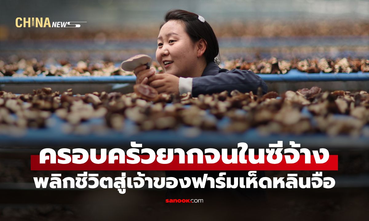 จากครอบครัวยากจน พลิกชีวิต! สู่เจ้าของฟาร์มเห็ดหลินจือ รายได้ปีเดียวเกือบ 50 ล้านบาท