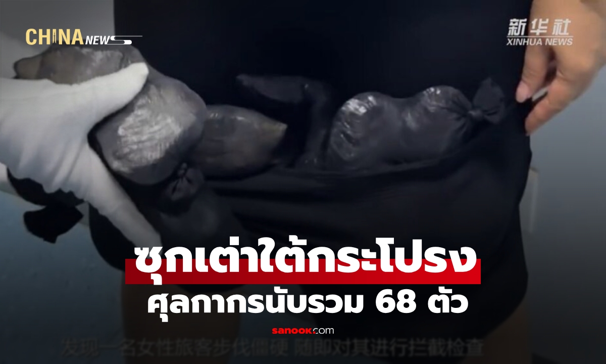 ศุลกากรเซินเจิ้น รวบ 2 หญิง "ซุกเต่าใต้กระโปรง" รวม 68 ตัว!!!